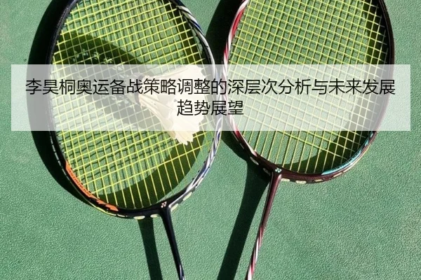 李昊桐奥运备战策略调整的深层次分析与未来发展趋势展望